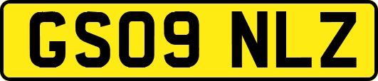 GS09NLZ