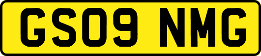 GS09NMG