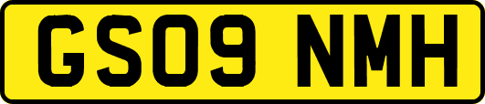 GS09NMH