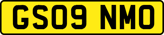 GS09NMO