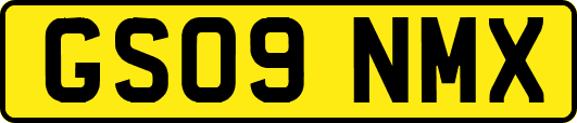 GS09NMX