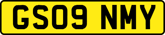 GS09NMY