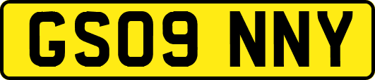 GS09NNY