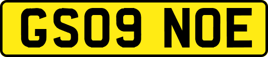GS09NOE