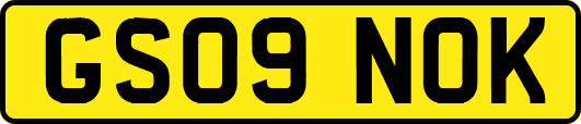 GS09NOK