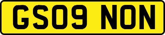 GS09NON