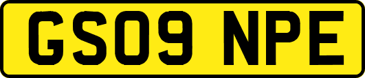 GS09NPE