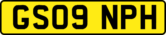 GS09NPH