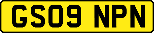 GS09NPN