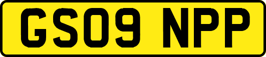 GS09NPP