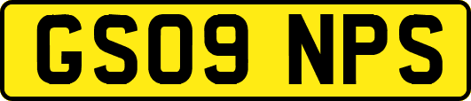 GS09NPS