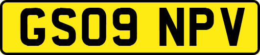GS09NPV