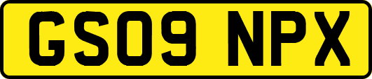 GS09NPX