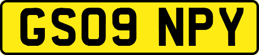 GS09NPY