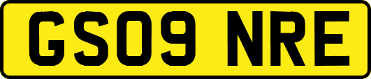 GS09NRE
