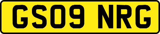 GS09NRG