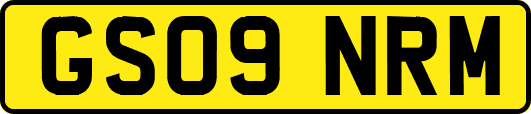 GS09NRM