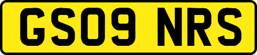 GS09NRS
