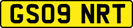 GS09NRT
