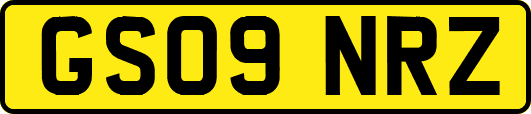 GS09NRZ