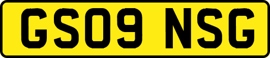 GS09NSG