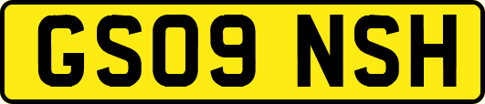 GS09NSH