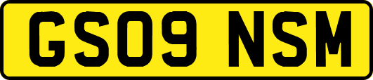 GS09NSM