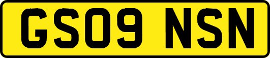 GS09NSN