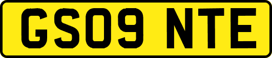 GS09NTE