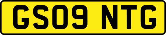 GS09NTG