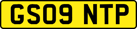 GS09NTP