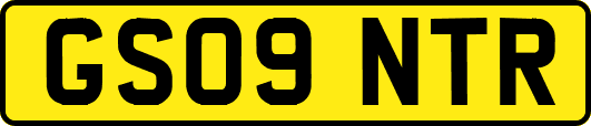GS09NTR