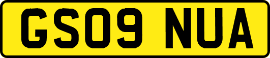 GS09NUA