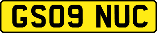GS09NUC