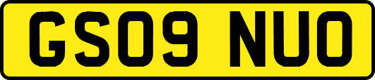 GS09NUO