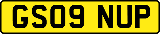 GS09NUP