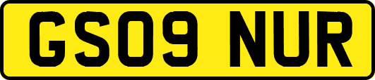 GS09NUR