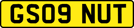 GS09NUT
