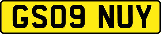 GS09NUY