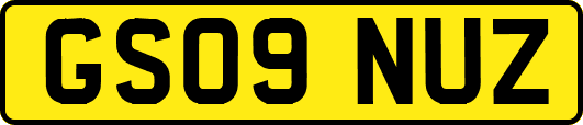 GS09NUZ