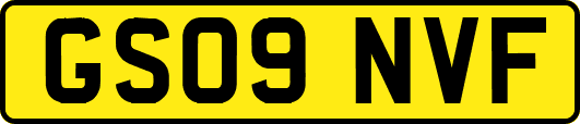 GS09NVF
