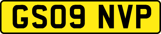 GS09NVP
