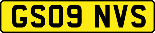 GS09NVS