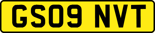 GS09NVT