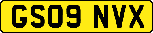 GS09NVX