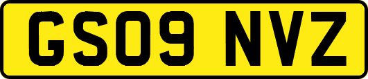 GS09NVZ