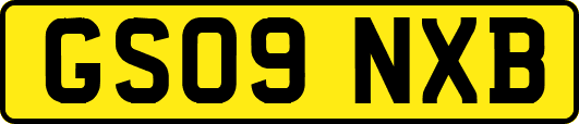 GS09NXB