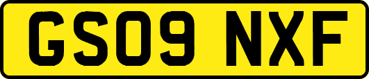 GS09NXF