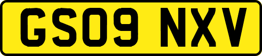 GS09NXV