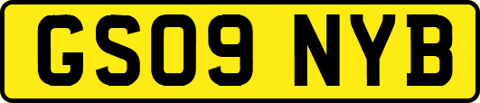 GS09NYB